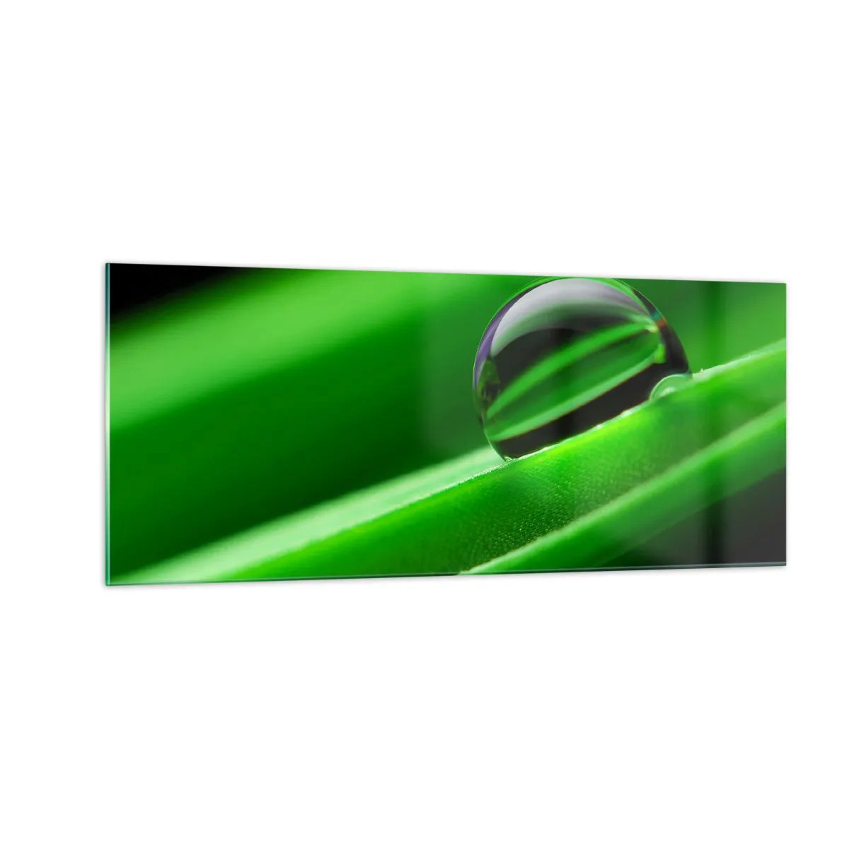 Glass picture - Life from a Close-Up - 100x40 cm