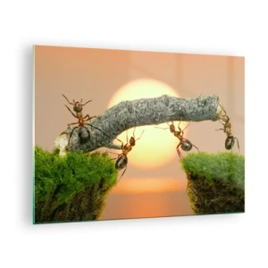Glass picture - Ants building a bridge at sunset - 70x50cm - Joyful, Mutual Work - Modern wall decoration for the living room and bedroom ARTTOR