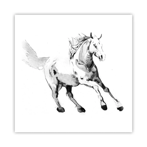 Poster - Untamed Soul - 60x60 cm