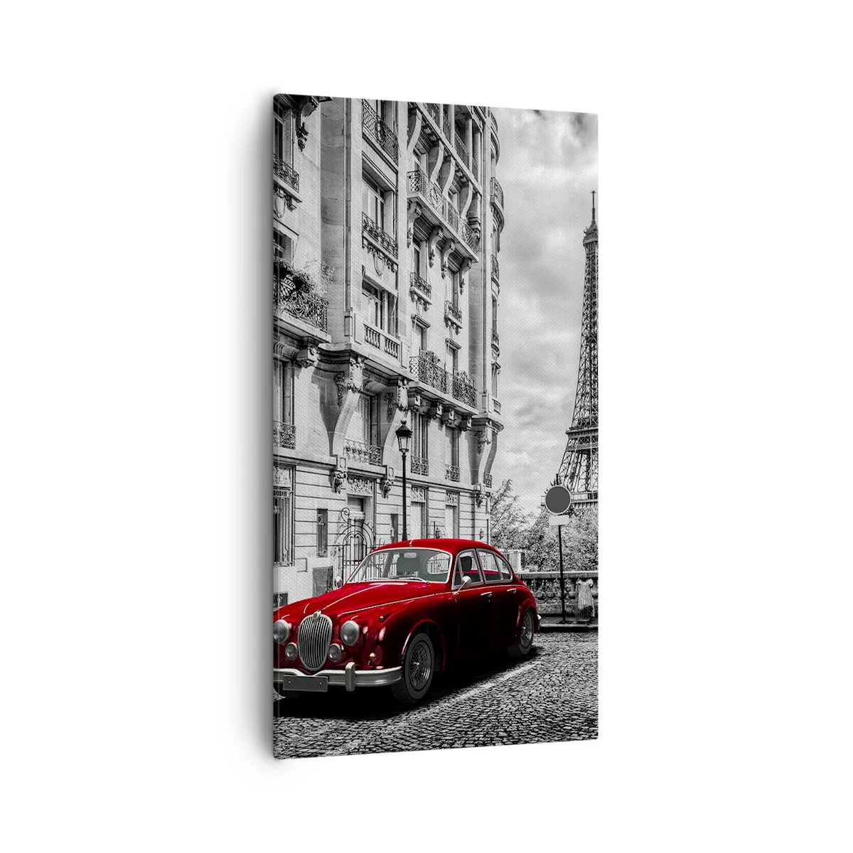 Canvas picture - Predator in the City - 55x100 cm