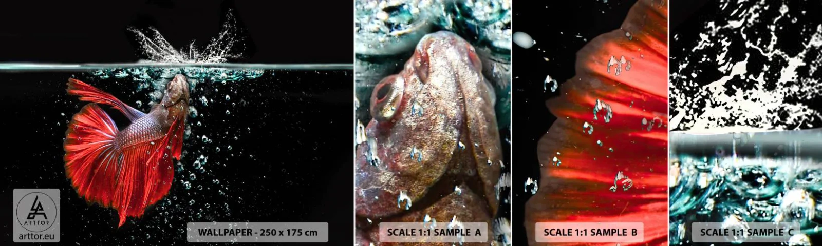 Photo Wallpaper Sample Standard Eco - You Have Three Wishes - Abstraction, Aquarium, Fish - 100x30 cm