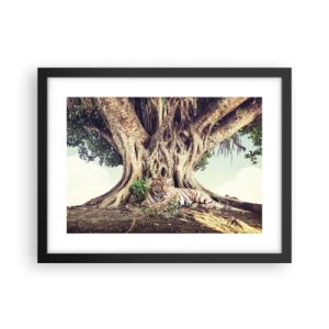 Poster in black frame - View from the Genesis - 40x30 cm