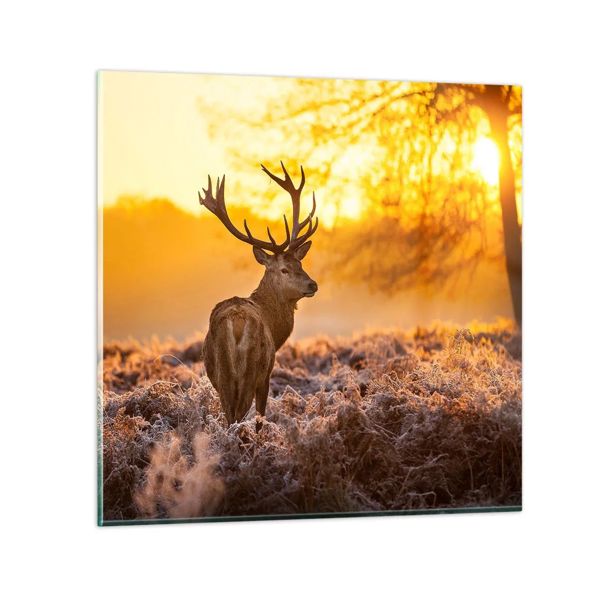 Glass picture - King of Autumnal Forest - 30x30 cm