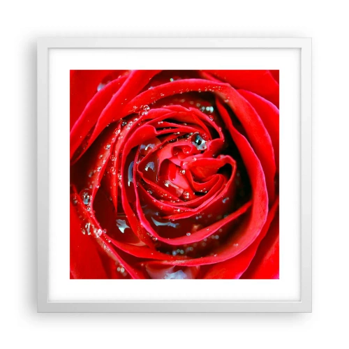 Poster in white frmae - In Dew Drops - 40x40 cm