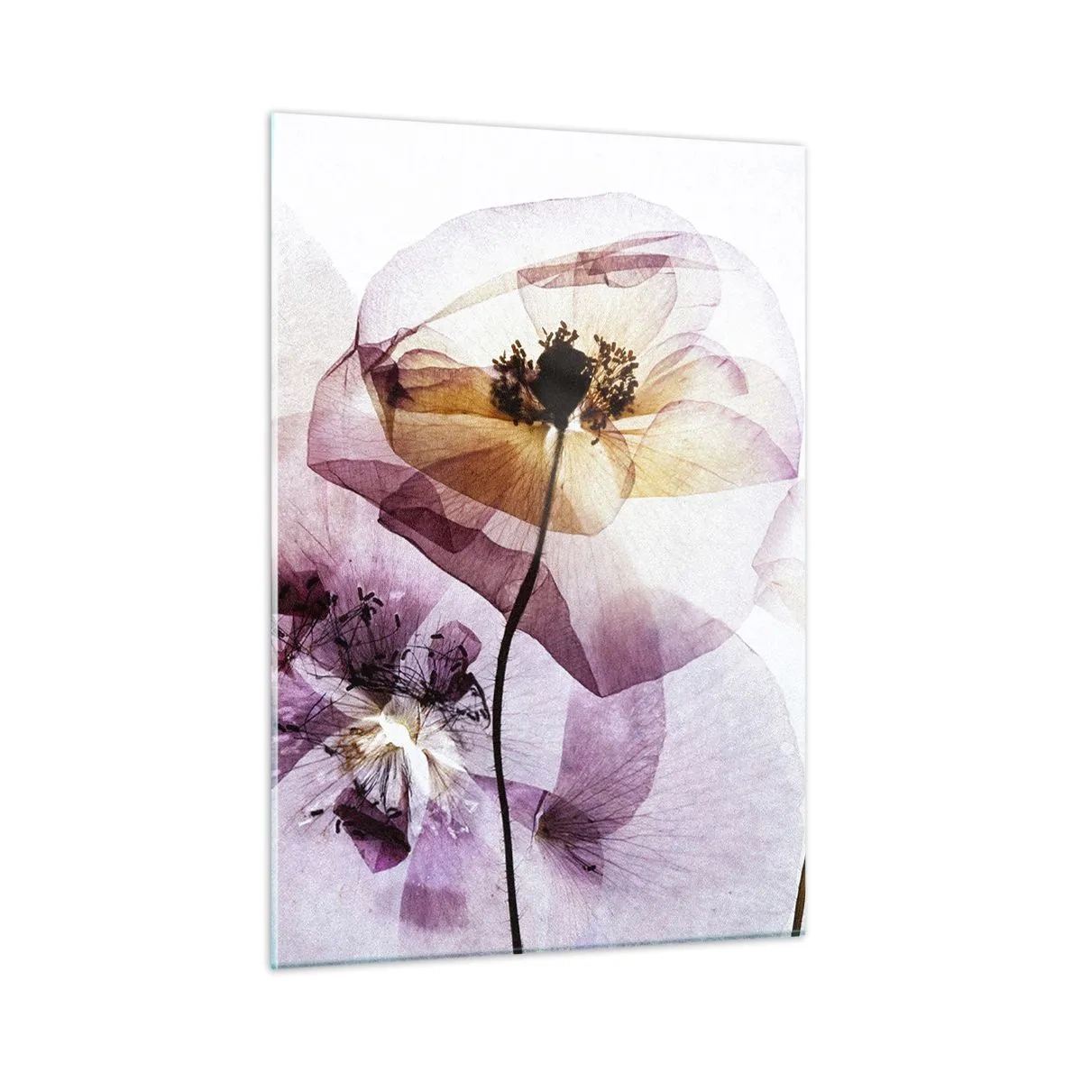 Glass picture - Flower Body Slide - 50x70 cm