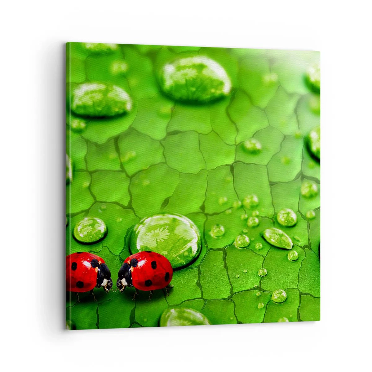 Canvas picture - Encounter in Green - 60x60 cm