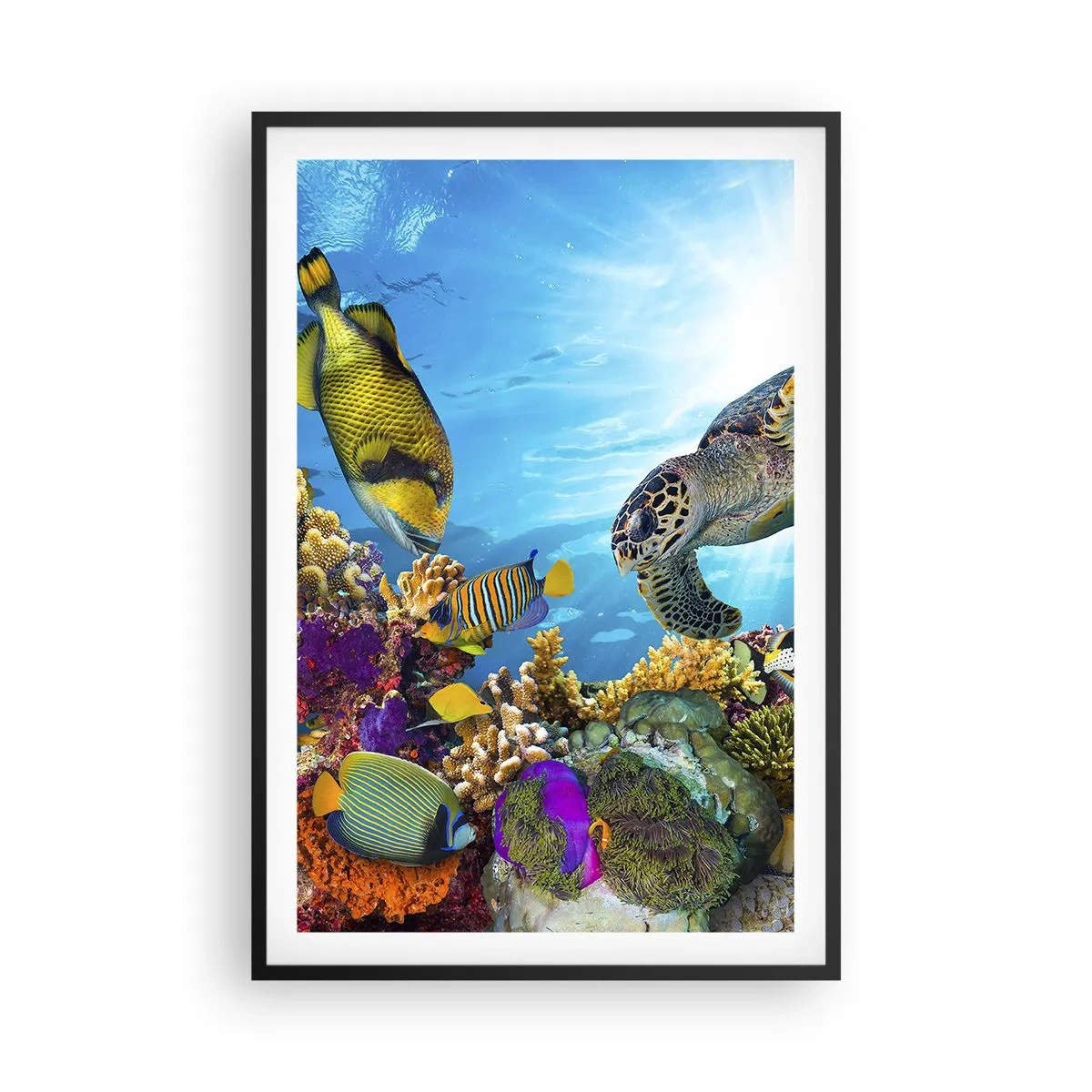 Poster in black frame - Coral Promenade - 61x91 cm