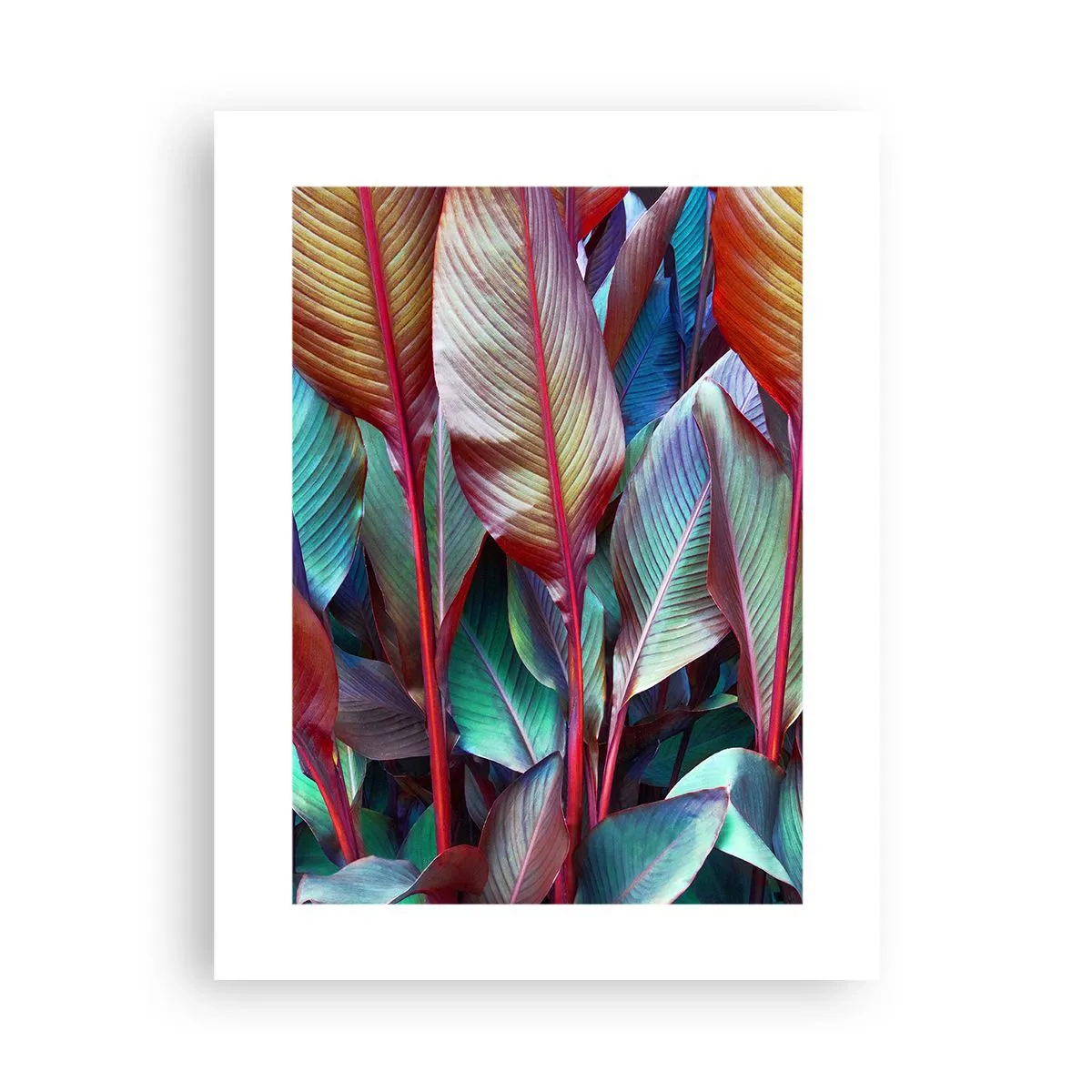 Poster - Colourful Thicket - 30x40 cm