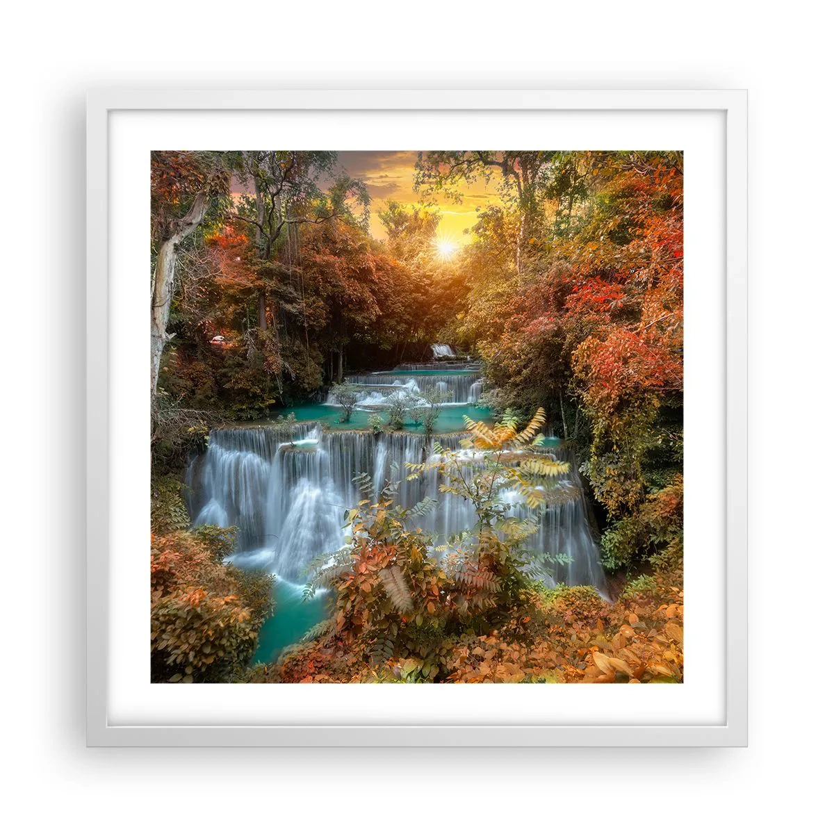 Poster in white frmae - Hidden Forest Treasure - 50x50 cm
