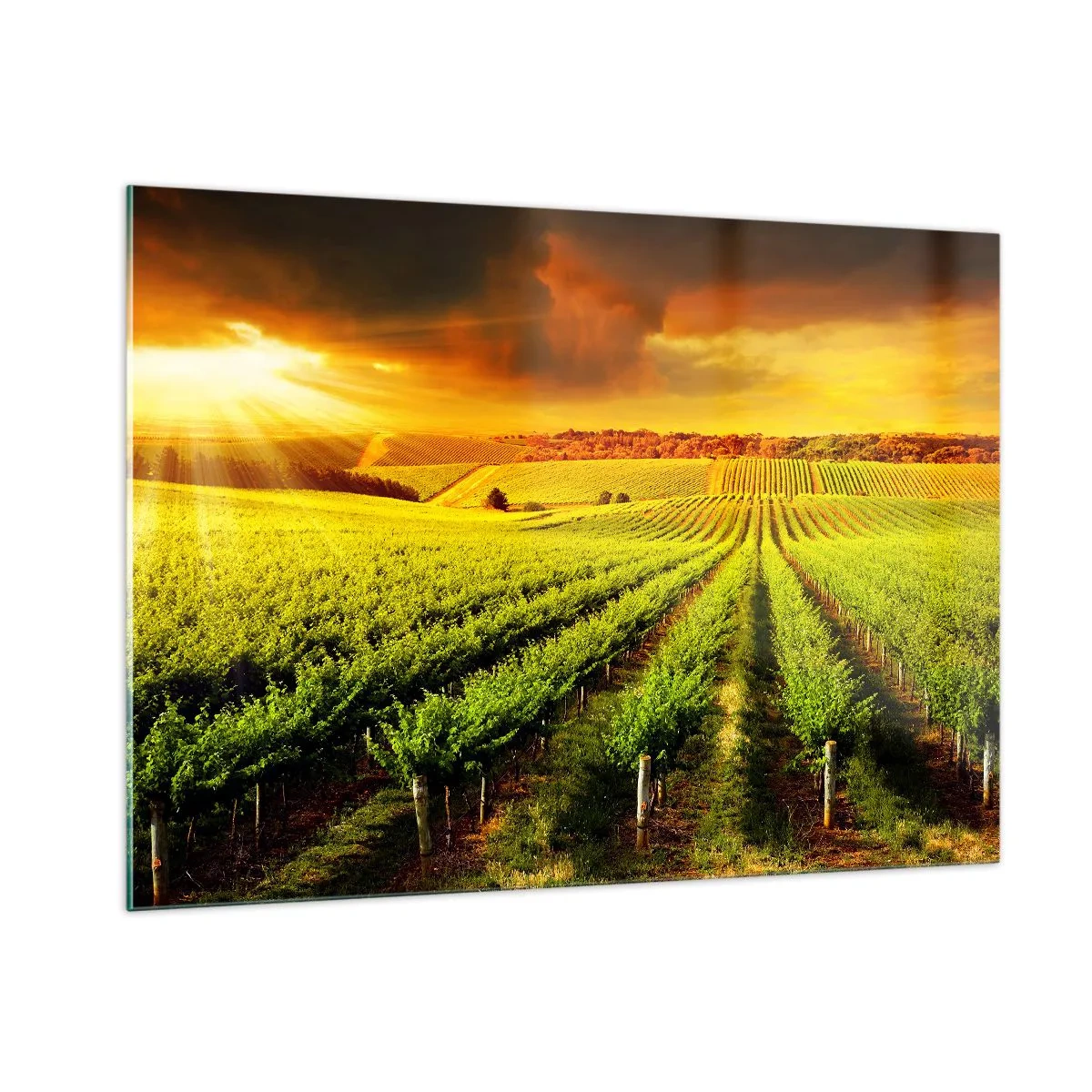 Glass picture - Under Australian Sun - 100x70 cm