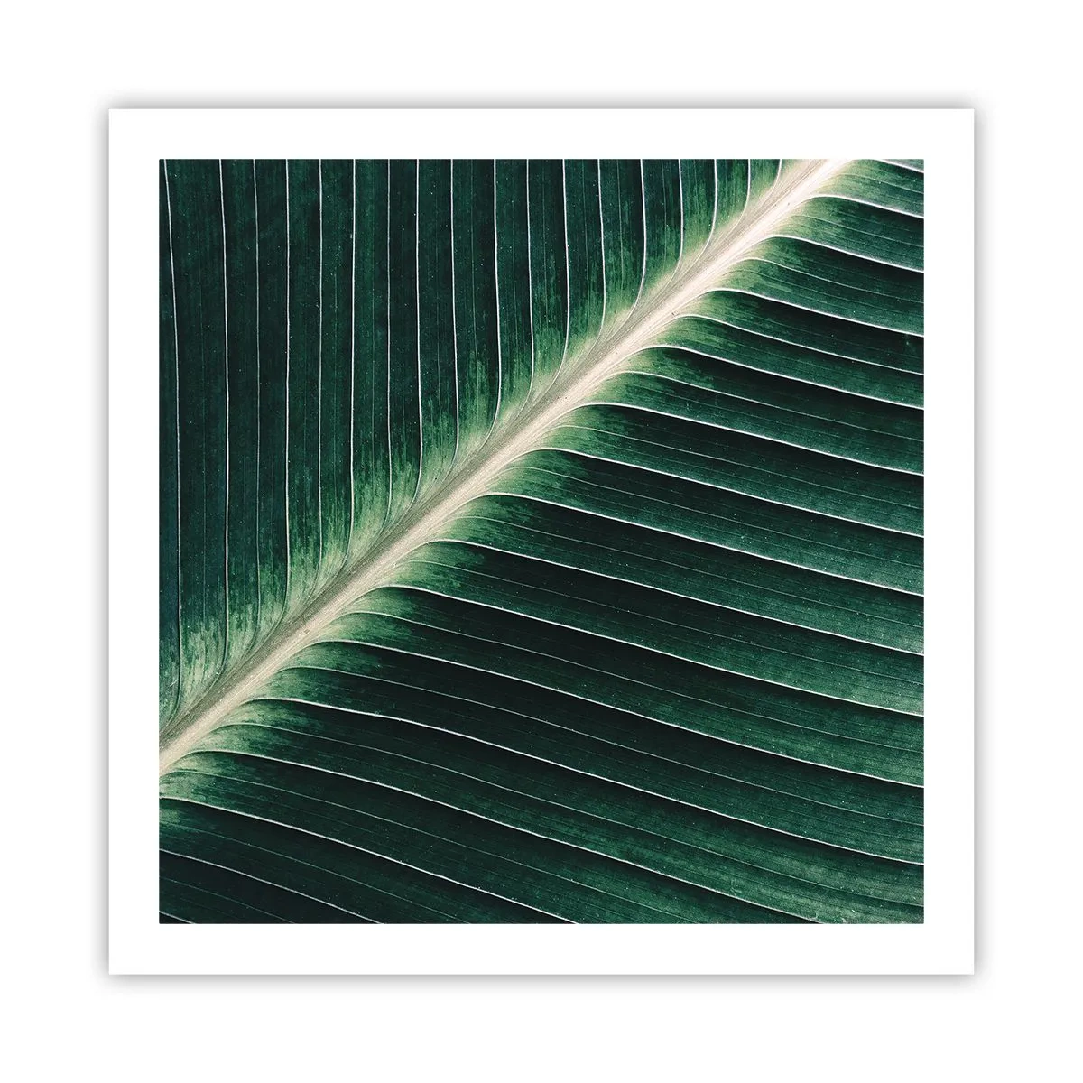 Poster - Rhythm of Nature - 60x60 cm