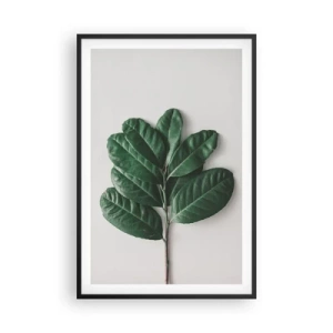 Poster in black frame - Drawing of Nature Itself - 61x91 cm