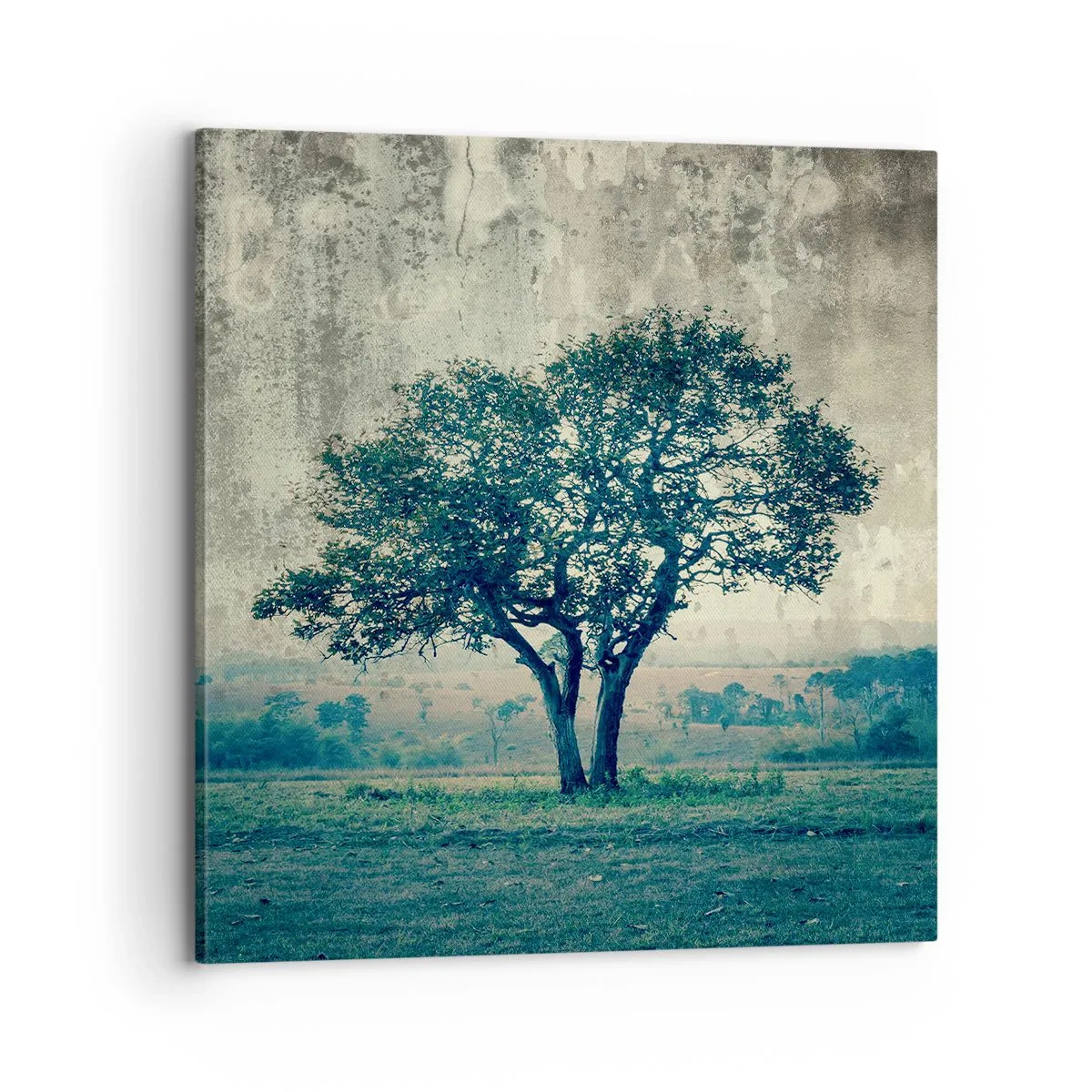 Canvas picture - Apple Tree in Blue? - 70x70 cm