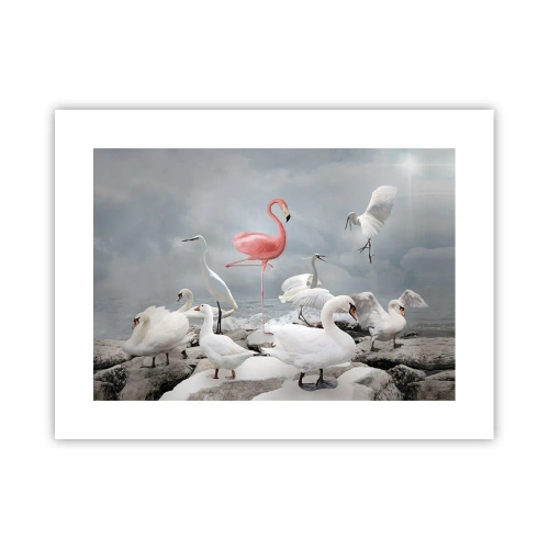 Poster - Where Did I Come from? - 40x30 cm