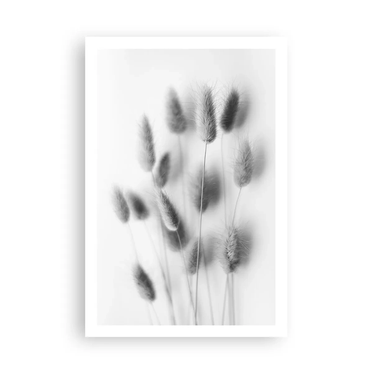 Poster - Her Softness Grass - 61x91 cm