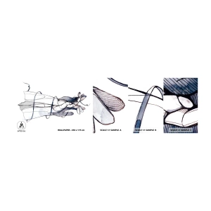 Photo Wallpaper Sample Self-Adhesive Deluxe Sticker - Study of Touch - Abstraction, Hands, Graphics - 100x30 cm