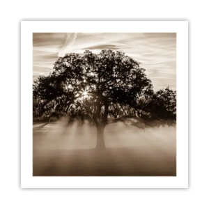 Poster - Tree of Good Knowledge - 50x50 cm