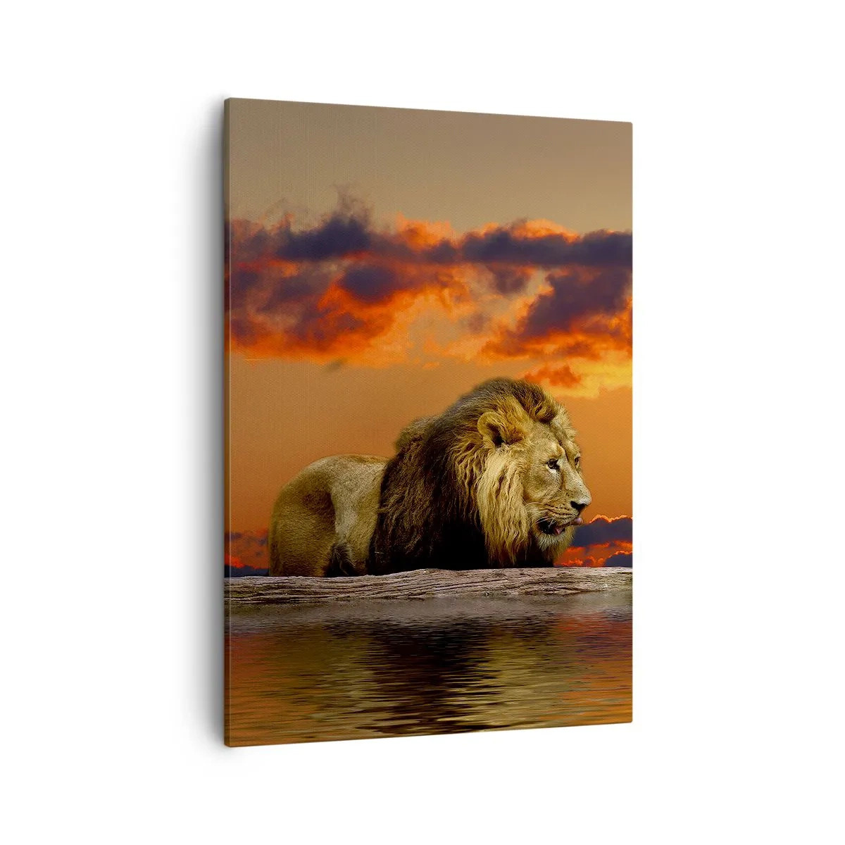 Canvas picture - The King of Nature - 50x70 cm