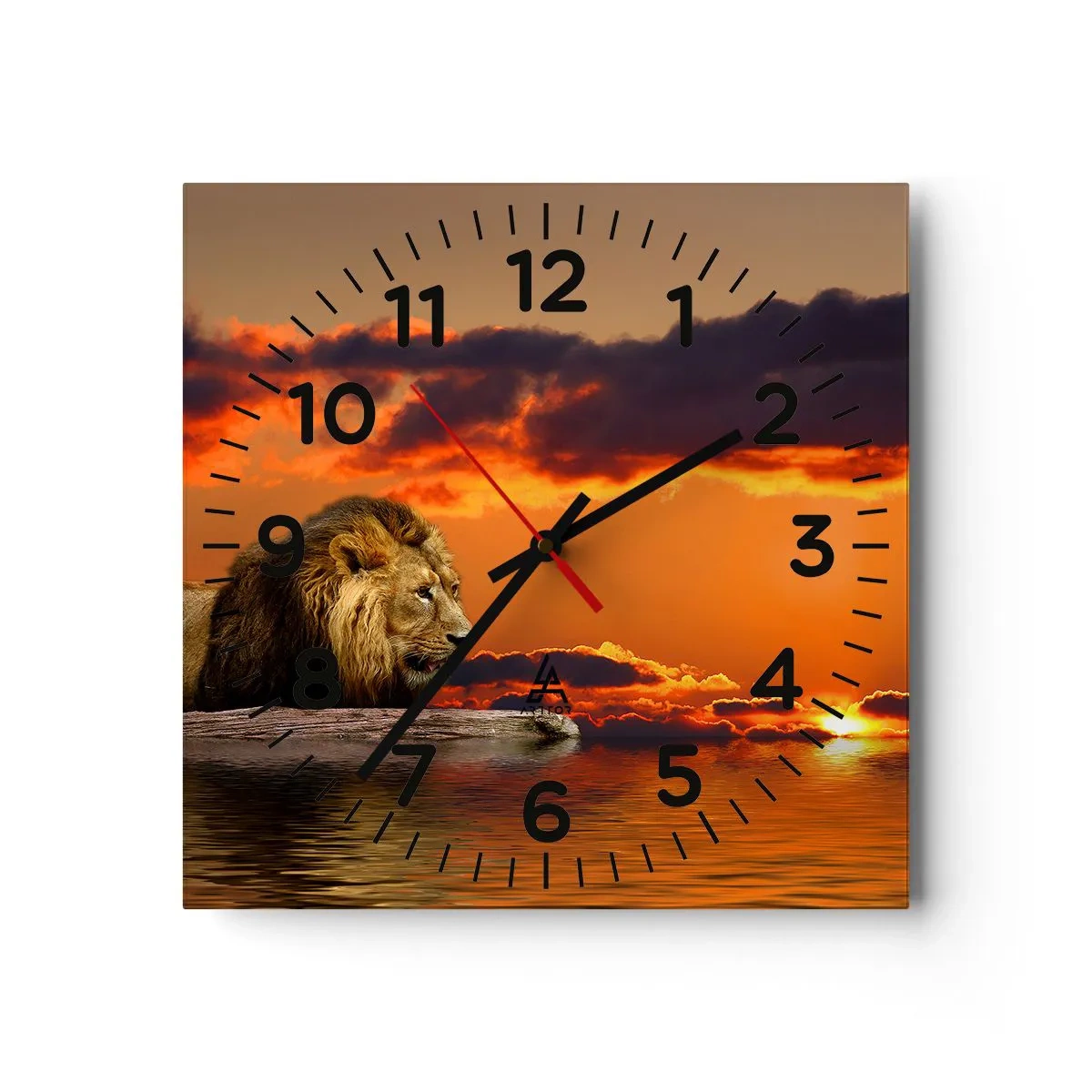 Wall clock - Clock on glass - The King of Nature - 40x40 cm