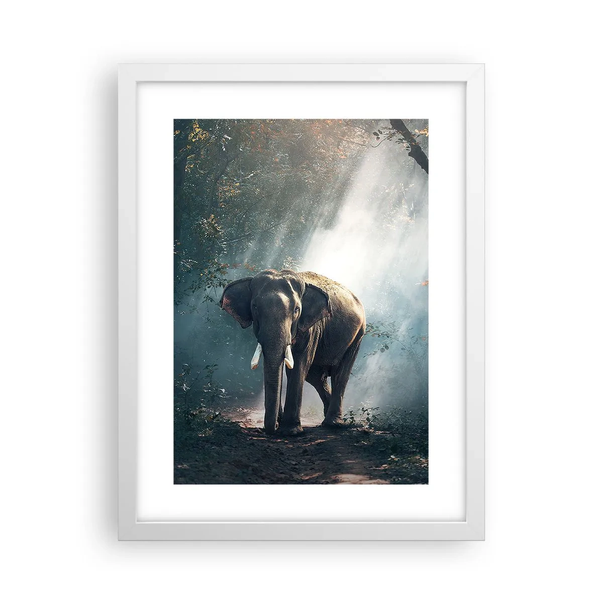 Poster in white frmae - Quiet Stroll - 30x40 cm