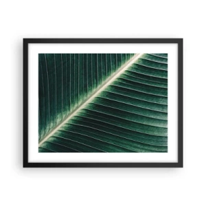 Poster in black frame - Rhythm of Nature - 50x40 cm