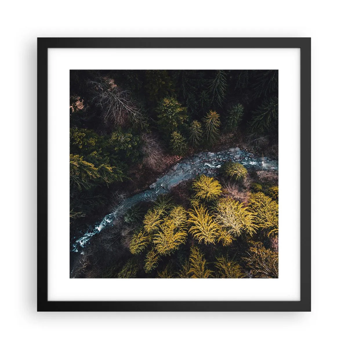 Poster in black frame - Fast and Faster - 40x40 cm