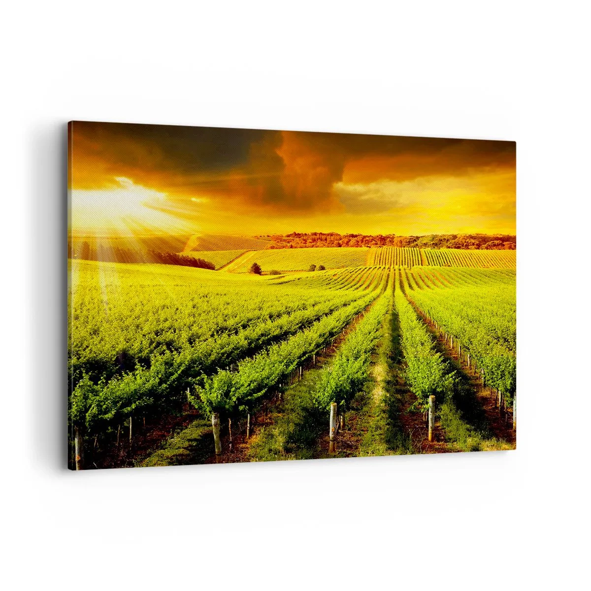 Canvas picture - Under Australian Sun - 120x80 cm