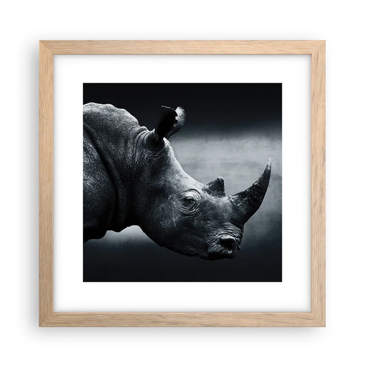 Poster in light oak frame - Right Profile - 30x30 cm