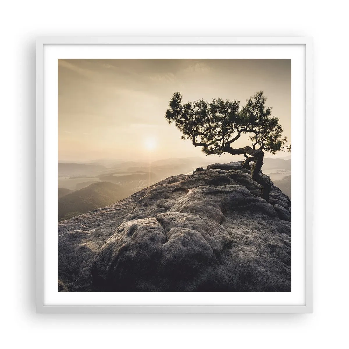 Poster in white frmae - Life Always Wins - 60x60 cm