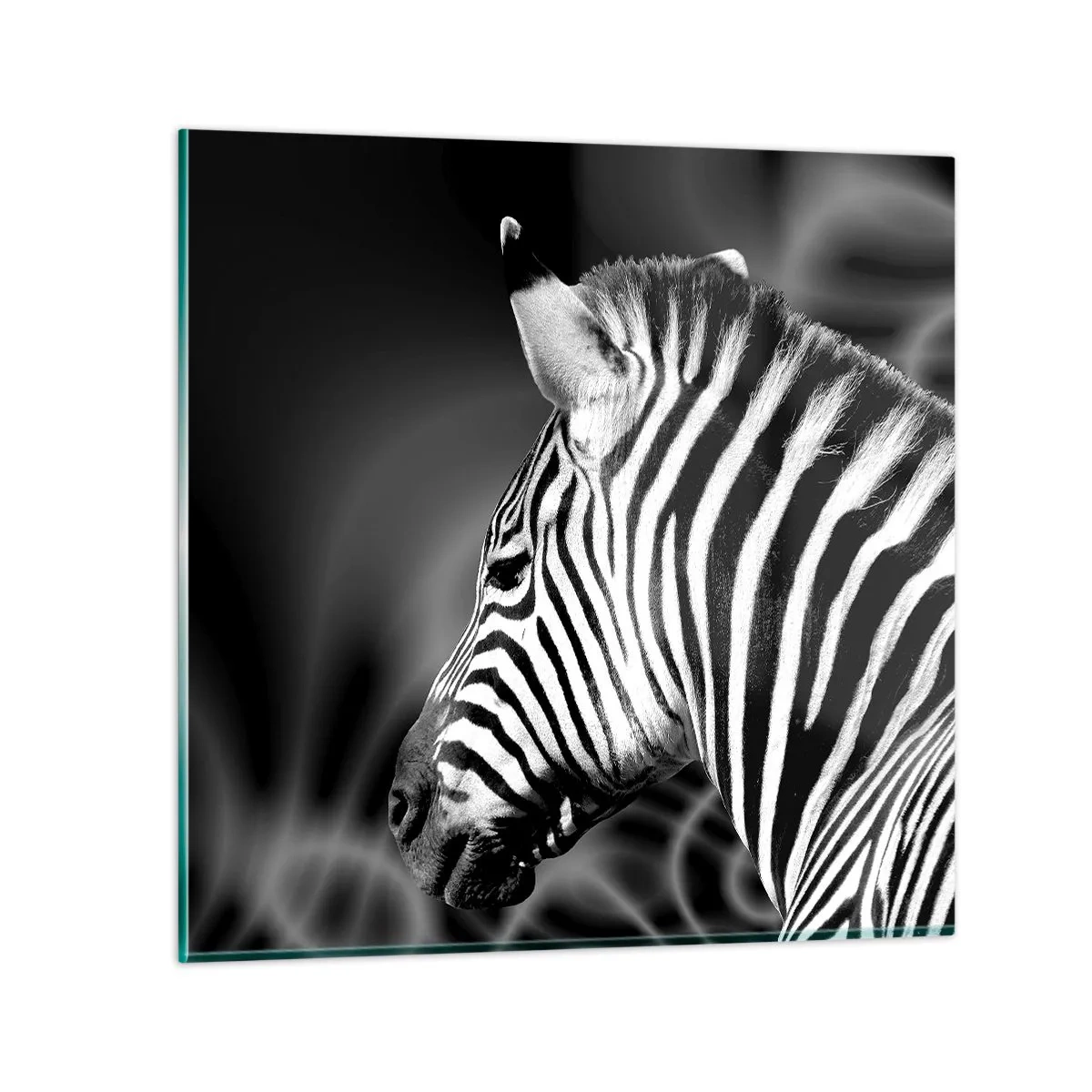 Glass picture - White Is White, and Black Is Black - 50x50 cm