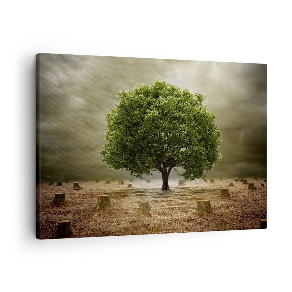 Canvas picture - A green tree surrounded by felled tree trunks against a cloudy sky - 70x50cm - Entire Hope - Modern wall decoration for the living room and bedroom ARTTOR
