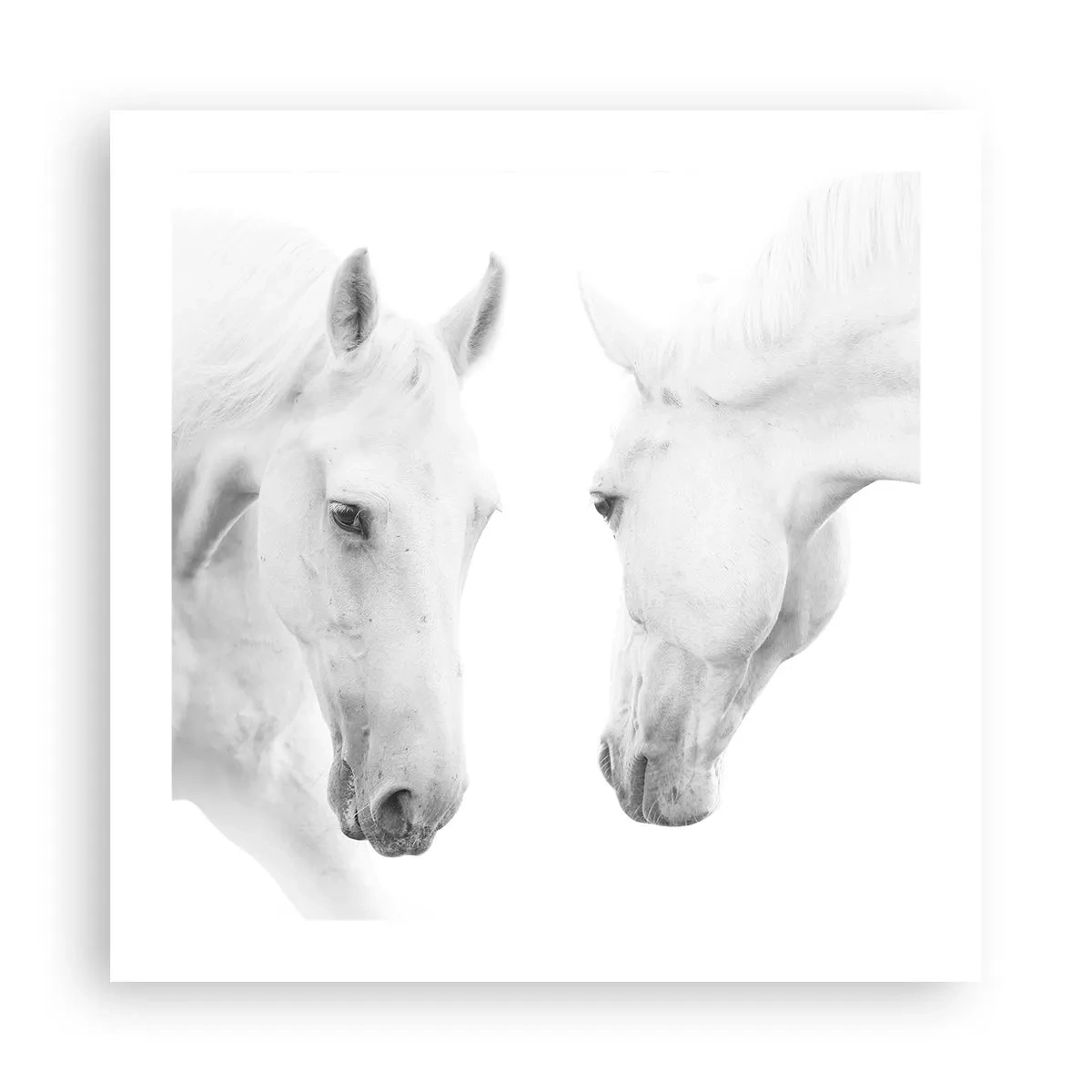 Poster - Is this friendship…? - 50x50 cm
