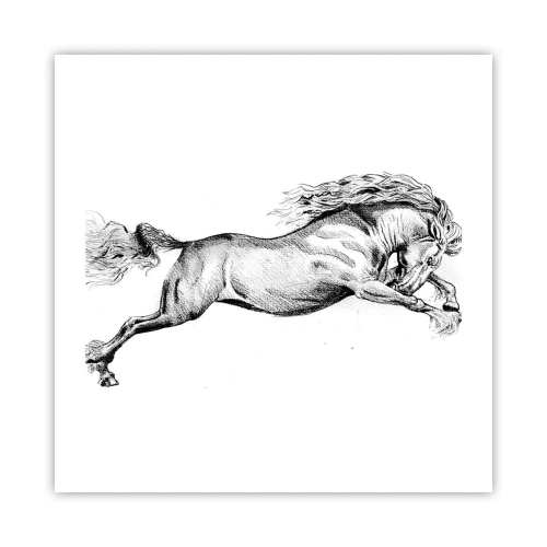 Poster - Stopped at a Gallop - 50x50 cm