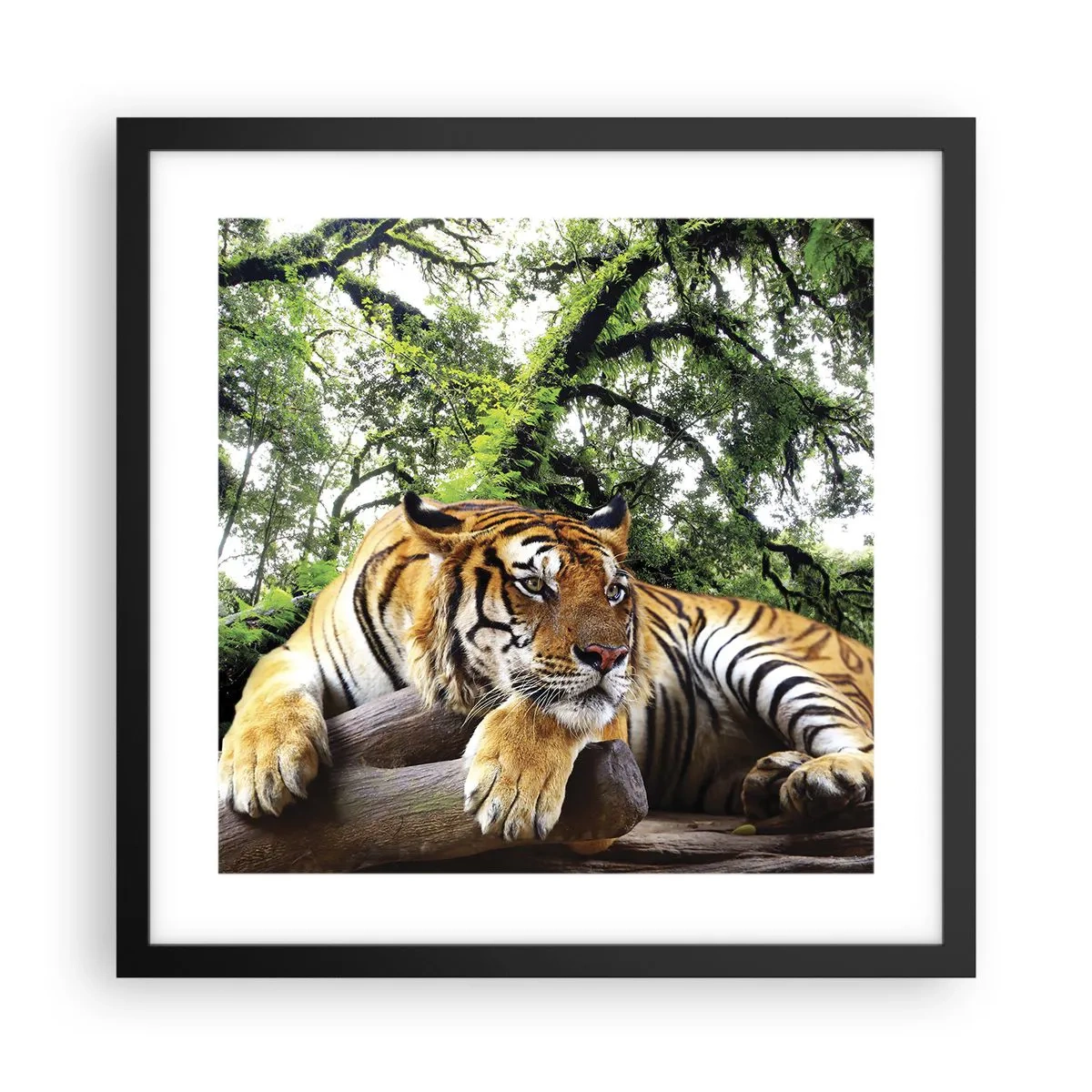 Poster in black frame - Best Regards - 40x40 cm