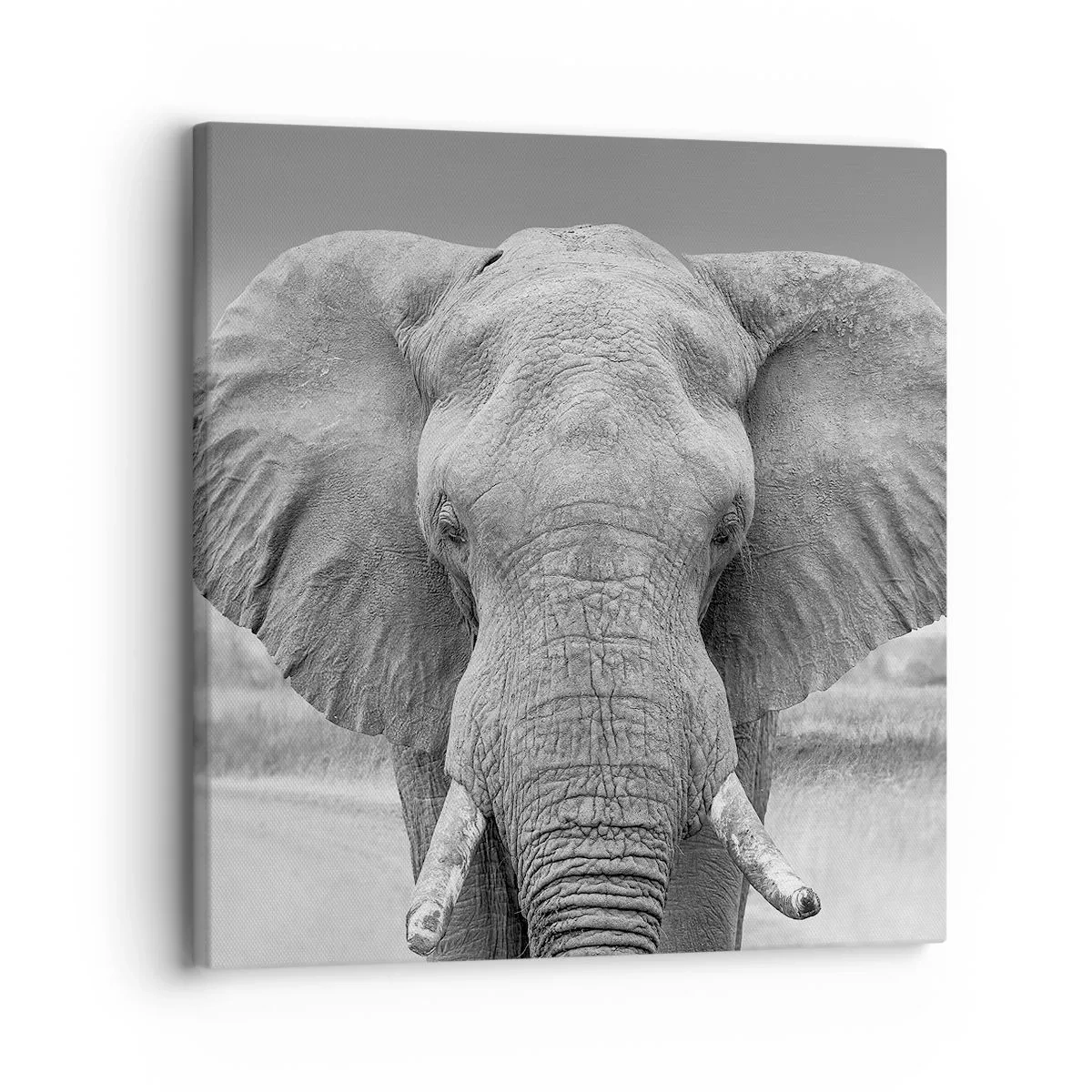 Canvas picture - Welcome to My World - 30x30 cm