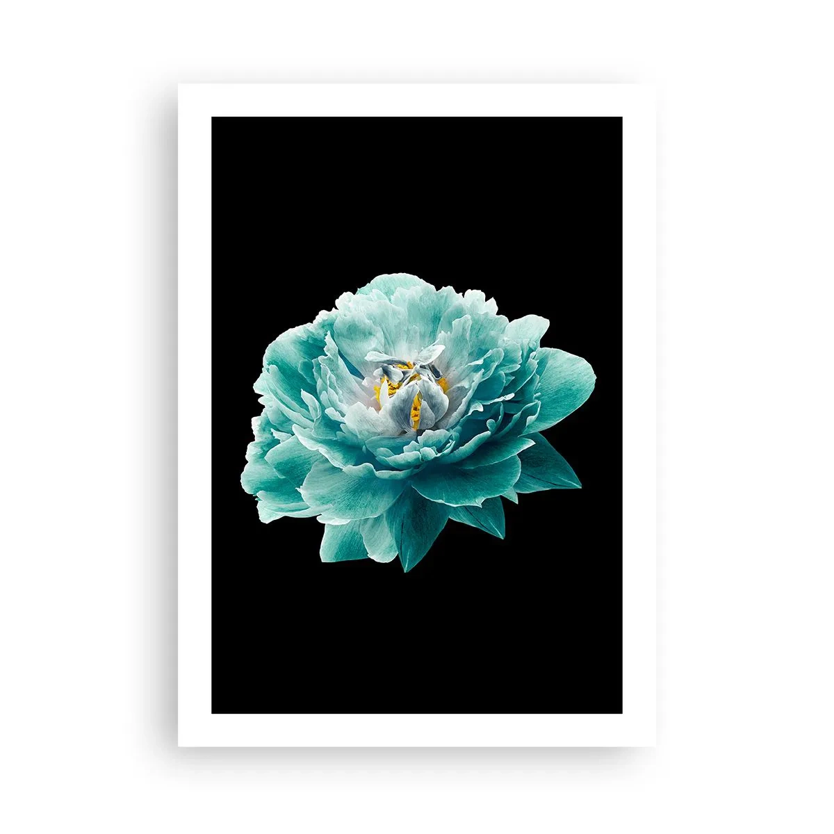 Poster - Blue and Gold Petals - 50x70 cm