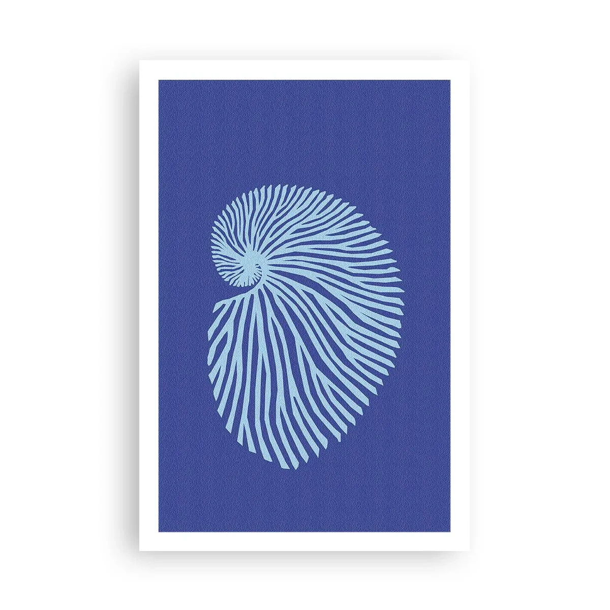 Poster - Birth of a Shell - 61x91 cm