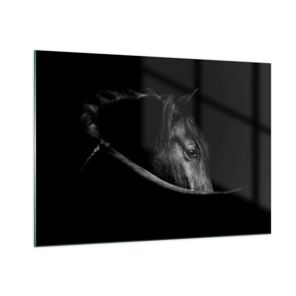 Glass picture - Black Prince - 100x70 cm