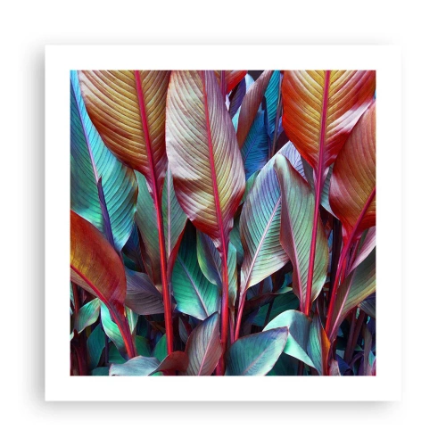 Poster - Colourful Thicket - 50x50 cm