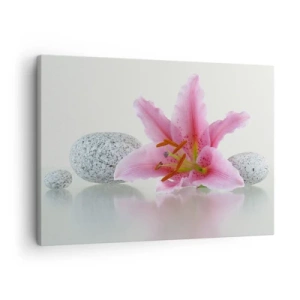 Canvas picture - Pink lily flower with stones on a light background - 70x50cm - Study in Pink, Grey and White - Modern wall decoration for the living room and bedroom ARTTOR
