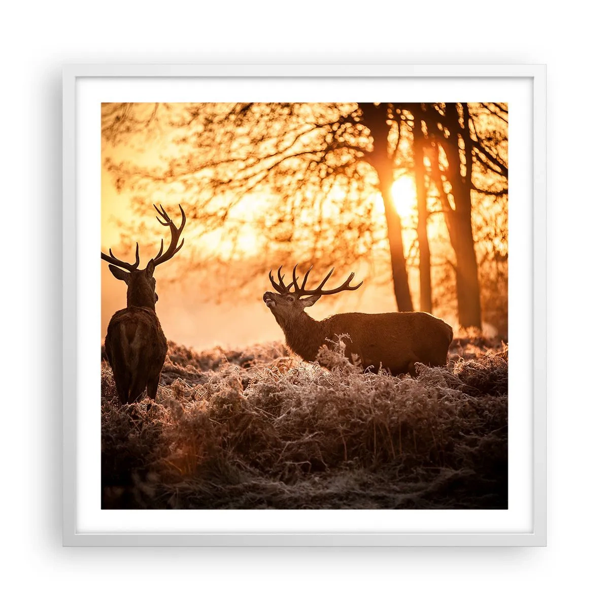 Poster in white frmae - Hunter's Dream - 60x60 cm