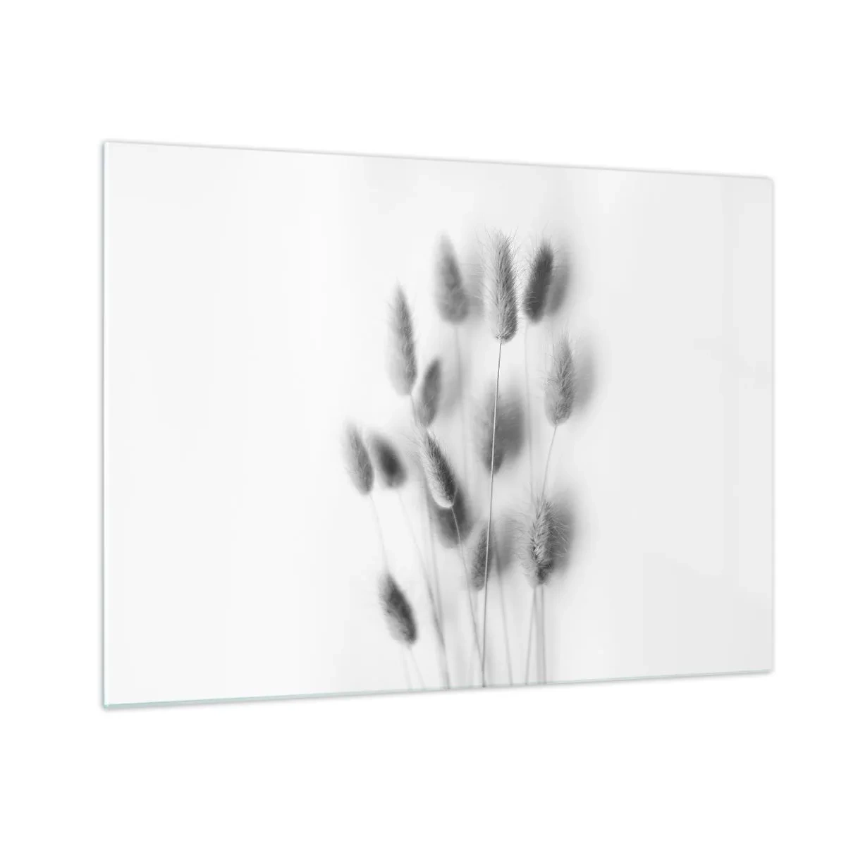 Glass picture - Black and white grass ears on a light background in a minimalist style - 70x50cm - Her Softness Grass - Modern wall decoration for the living room and bedroom ARTTOR