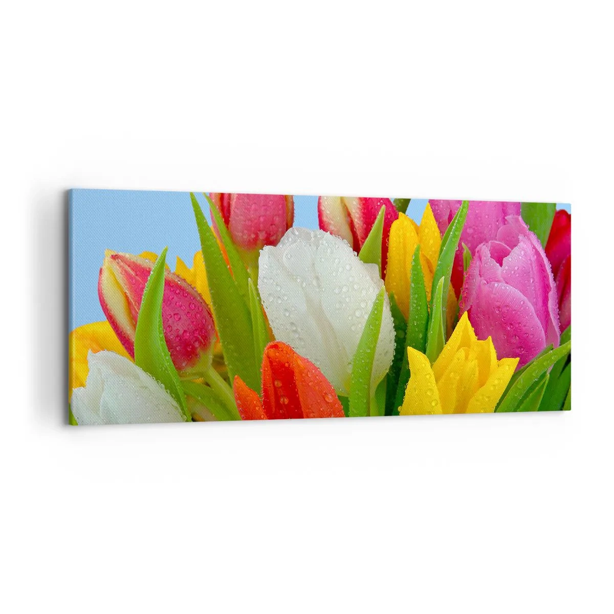 Canvas picture - Floral Rainbow in Dew Drops - 120x50 cm