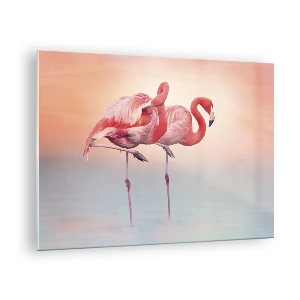Glass picture - Two flamingos standing in water with a pastel sunset background - 70x50cm - In the Colour Of Sunset - Modern wall decoration for the living room and bedroom ARTTOR