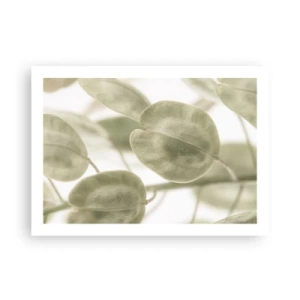 Poster - In the Beginning There Were Leaves… - 70x50 cm