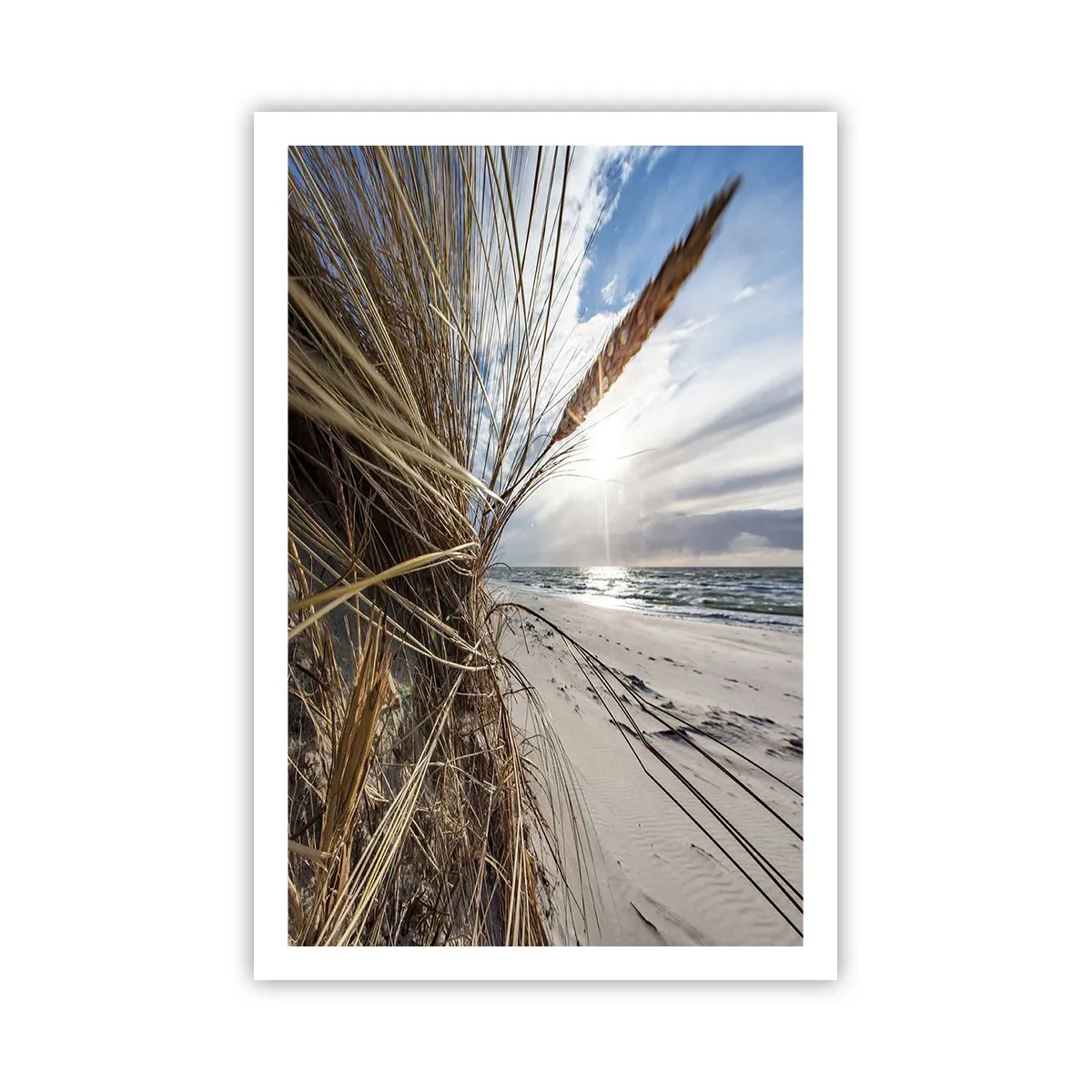 Poster - Enounter of the Elements - 61x91 cm