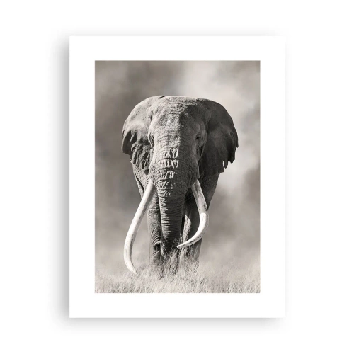 Poster - African Patriarch - 30x40 cm