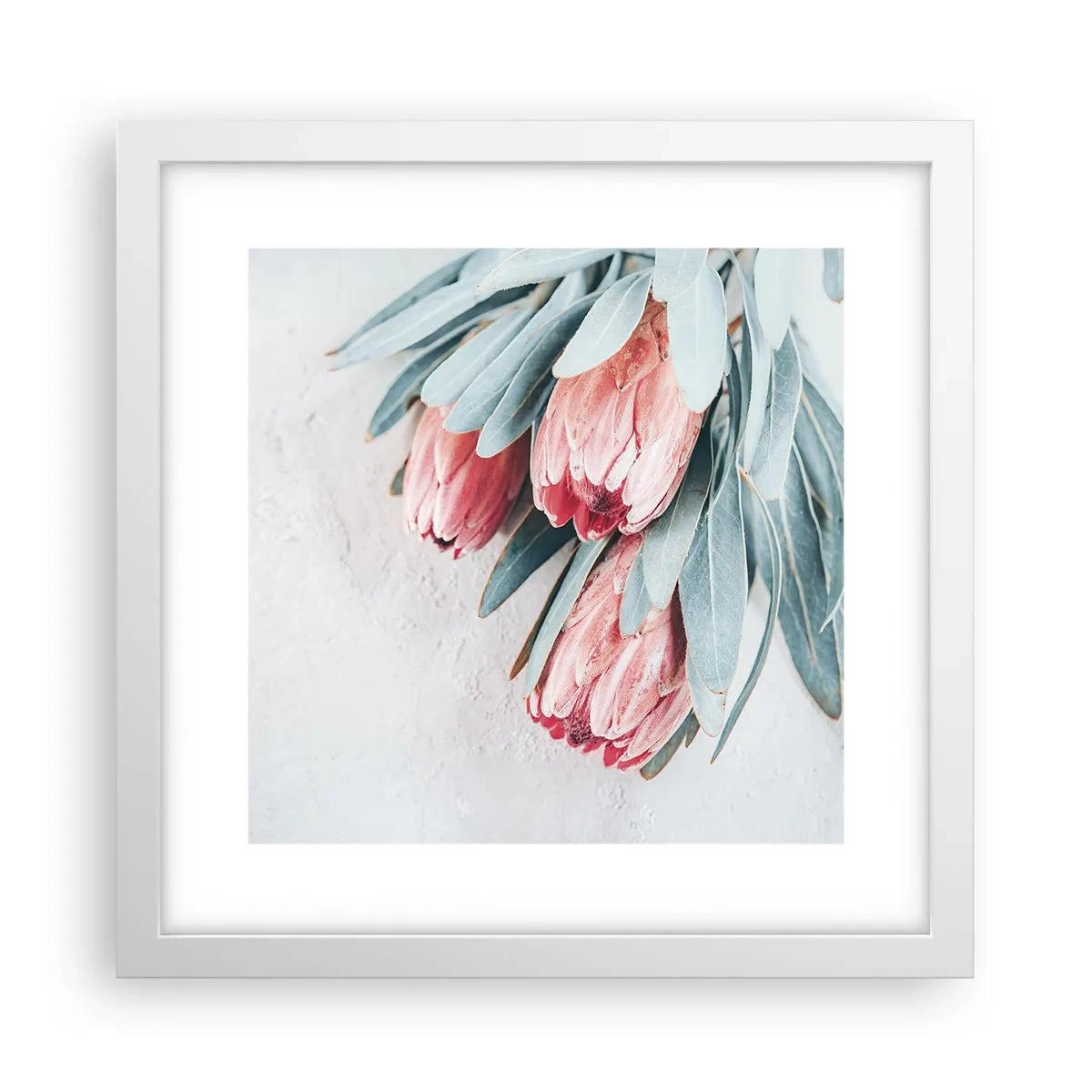 Poster in white frmae - Ashamed of Their Own Beauty - 30x30 cm