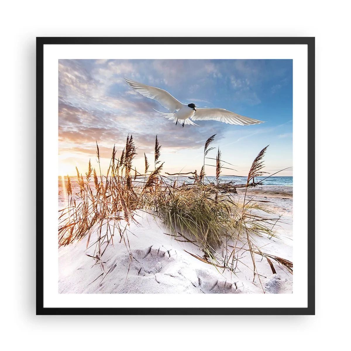 Poster in black frame - Wind from the Sea - 60x60 cm