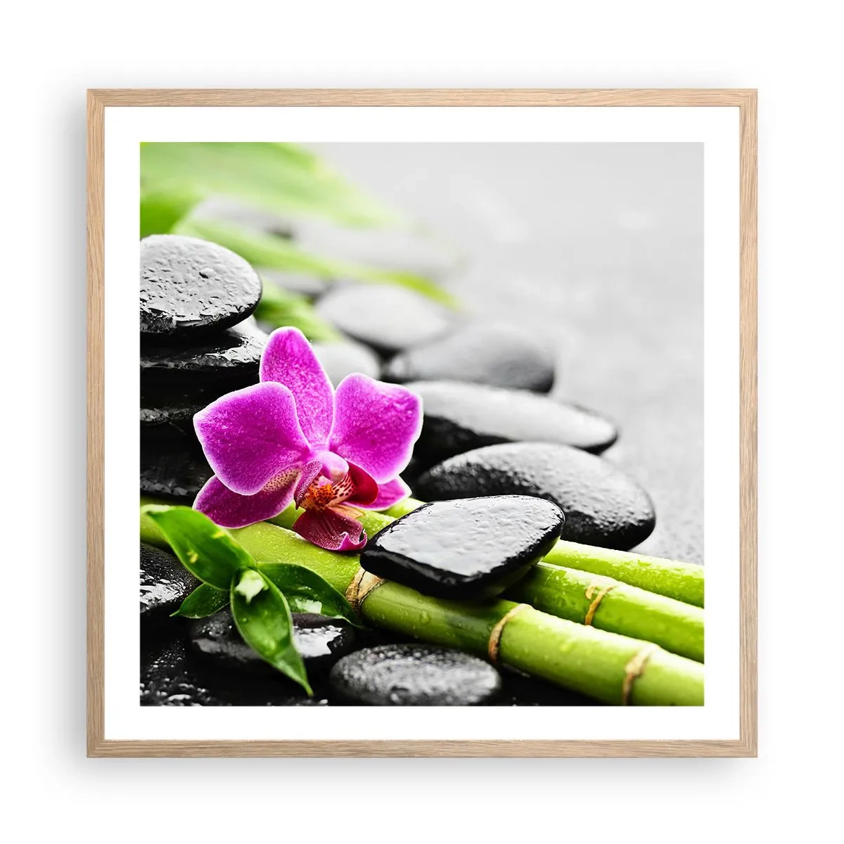 Poster in light oak frame - In a Peaceful Balance - 60x60 cm